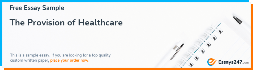 Free «The Provision of Healthcare» Essay Sample